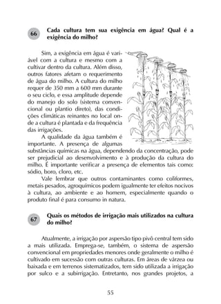 55
Cada cultura tem sua exigência em água? Qual é a
exigência do milho?
Sim, a exigência em água é vari-
ável com a cultura e mesmo com a
cultivar dentro da cultura. Além disso,
outros fatores afetam o requerimento
de água do milho. A cultura do milho
requer de 350 mm a 600 mm durante
o seu ciclo, e essa amplitude depende
do manejo do solo (sistema conven-
cional ou plantio direto), das condi-
ções climáticas reinantes no local on-
de a cultura é plantada e da frequência
das irrigações.
A qualidade da água também é
importante. A presença de algumas
substâncias químicas na água, dependendo da concentração, pode
ser prejudicial ao desenvolvimento e à produção da cultura do
milho. É importante verificar a presença de elementos tais como:
sódio, boro, cloro, etc.
Vale lembrar que outros contaminantes como coliformes,
metais pesados, agroquímicos podem igualmente ter efeitos nocivos
à cultura, ao ambiente e ao homem, especialmente quando o
produto final é para consumo in natura.
Quais os métodos de irrigação mais utilizados na cultura
do milho?
Atualmente, a irrigação por aspersão tipo pivô central tem sido
a mais utilizada. Emprega-se, também, o sistema de aspersão
convencional em propriedades menores onde geralmente o milho é
cultivado em sucessão com outras culturas. Em áreas de várzea ou
baixada e em terrenos sistematizados, tem sido utilizada a irrigação
por sulco e a subirrigação. Entretanto, nos grandes projetos, a
66
67
 