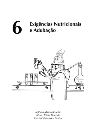 Exigências Nutricionais
e Adubação
Antônio Marcos Coelho
Álvaro Vilela Resende
Flávia Cristina dos Santos
6
 