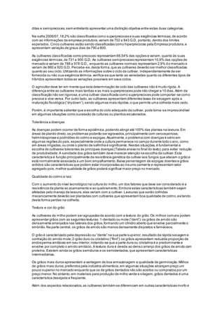 ditas e semiprecoces,sem entretanto apresentar uma distinção objetiva entre estas duas categorias.
Na safra 2006/07,18,2% são classificados como superprecoces e suas exigências térmicas,de acordo
com as informações da empresa produtora,variam de 702 a 843 G.D, portanto, dentro dos limites
esperados .Cinco cultivares estão sendo classificadas como hiperprecoces pela Empresa produtora,e
apresentam variação de graus dias de 790 a 800.
As cultivares classificadas como precoces representam 66,54% das opções e variam,quanto às suas
exigências térmicas,de 731 a 900 G.D. As cultivares semiprecoces representam 10,9% das opções de
mercado e variam de 788 a 978 G.D., enquanto as cultivares normais representam 2,9% do mercado e
variam de 860 a 920 G.D. Percebe-se,desta forma,que as cultivares deverão ser melhor classificadas
quanto ao seu ciclo.Utilizando as informações sobre o ciclo da cultivar, independentemente de ser
fornecida ou não sua exigência térmica,verifica-se que tanto as variedades quanto os diferentes tipos de
híbridos apresentam todas as variações possíveis em seus ciclos.
O agricultor deve ter em mente que esta determinação de ciclo das cultivares não é muito rígida. A
diferença entre as cultivares mais tardias e as mais superprecoces pode não chegar a 10 dias.Além da
classificação não ser rigorosa,e uma cultivar classificada como superprecoces pode comportar-se como
precoce e vice-versa. Por outro lado, as cultivares apresentam diferentes taxas de secagem após a
maturação fisiológica (“drydown”),sendo algumas mais rápidas,o que permite uma colheita mais cedo.
Porém,é importante salientar que a escolha do ciclo adequado da cultivar, pode torna-se imprescindível
em algumas situações como sucessão de culturas ou plantios escalonados.
Tolerância a doenças
As doenças podem ocorrer de forma epidêmica,podendo atingir até 100% das plantas na lavoura.Em
áreas de plantio direto,os problemas poderão ser agravados,principalmente com cercosporiose,
helmintospirose e podridões do colmo e espigas.Atualmente,o problema com doenças é sério em
algumas regiões do país,especialmente onde a cultura permanece no campo durante todo o ano, como
em áreas irrigadas,ou onde o plantio de safrinha é significante. Nestas situações,é fundamental a
escolha de cultivares tolerantes às principais doenças (Tabela anexa no final do texto) para evitar redução
de produtividade.A sanidade dos grãos também deve merecer atenção na escolha da cultivar.Esta
característica é função principalmente da resistência genética da cultivar aos fungos que atacam o grão e
está normalmente associada a um bom empalhamento.Baixa percentagem de espigas doentes e grãos
ardidos são características que podem estar incorporadas ao insumo semente e representam valor
agregado pois,melhor qualidade de grãos poderá significar maior preço no mercado.
Qualidade do colmo e raiz
Com o aumento do nível tecnológico na cultura do milho,um dos fatores que deve ser considerado é a
resistência da planta ao acamamento e ao quebramento.Embora estas características também sejam
afetadas pelo manejo da lavoura,elas variam com a cultivar. Lavouras que serão colhidas
mecanicamente deverão ser plantadas com cultivares que apresentam boa qualidade de colmo,evi tando
desta forma perdas na colheita.
Textura e cor do grão
As cultivares de milho podem ser agrupadas de acordo com a textura do grão.Os milhos comuns podem
apresentar grãos com as seguintes texturas:1-dentado ou mole (“dent”):os grãos de amido são
densamente arranjados nas laterais dos grãos,formando um cilindro aberto que envolve parcialmente o
embrião.Na parte central, os grãos de amido são menos densamente dispostos e farináceos.
O grão é caracterizado pela depressão ou “dente” na sua parte superior,resultado da rápida secagem e
contração do amido mole;2-grão duro ou cristalino (“flint”):os grãos apresentam reduzida proporção de
endosperma amiláceo em seu interior,notando-se que a parte dura ou cristalina é a predominante e
envolve por completo o amido amilácio.A textura dura é devida ao denso arranjo dos grãos de amido com
proteína. Existem ainda os grãos semiduros e os semidentados,que apresentam características
intermediárias.
Os grãos mais duros apresentam a vantagem de boa armazenagem e qualidade de germinação.Milhos
de grãos mais duros,preferidos pela indústria alimentícia,em algumas situações alcançam preço um
pouco superior no mercado enquanto que os de grãos dentados não são aceitos ou comprados por um
preço menor.No entanto,em materiais para produção de milho verde e silagem,grãos dentados é uma
característica desejada e freqüente.
Além dos aspectos relacionados,as cultivares também se diferenciam em outras características morfo e
 