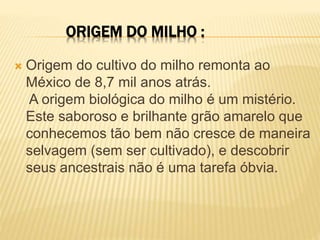 ORIGEM DO MILHO :
 Origem do cultivo do milho remonta ao
México de 8,7 mil anos atrás.
A origem biológica do milho é um mistério.
Este saboroso e brilhante grão amarelo que
conhecemos tão bem não cresce de maneira
selvagem (sem ser cultivado), e descobrir
seus ancestrais não é uma tarefa óbvia.
 