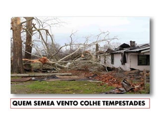 QUEM SEMEA VENTO COLHE TEMPESTADES
 