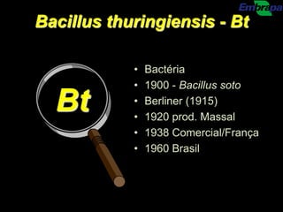 Bacillus thuringiensis - Bt

            •   Bactéria
            •   1900 - Bacillus soto

  Bt        •
            •
                Berliner (1915)
                1920 prod. Massal
            •   1938 Comercial/França
            •   1960 Brasil
 