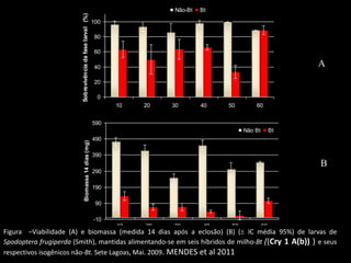 Não-Bt   Bt




                         Sobrevivência da fase larval (%)
                                                            100

                                                            80

                                                            60

                                                            40                                                      A
                                                            20

                                                             0
                                                                  10   20   30       40    50        60


                                                            590
                                                                                                 Não Bt        Bt
                                                            490
                                Biomassa 14 dias (mg)




                                                            390
                                                                                                                    B
                                                            290

                                                            190

                                                             90

                                                            -10
                                                                  10   20   30        40    50            60
Figura –Viabilidade (A) e biomassa (medida 14 dias após a eclosão) (B) ( IC média 95%) de larvas de
Spodoptera frugiperda (Smith), mantidas alimentando-se em seis híbridos de milho-Bt ((Cry 1 A(b)) ) e seus
respectivos isogênicos não-Bt. Sete Lagoas, Mai. 2009. MENDES et al 2011
 