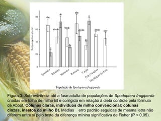 Figura 3. Sobrevivência até a fase adulta de populações de Spodoptera frugiperda
criadas em folha de milho Bt e corrigida em relação à dieta controle pela fórmula
de Abbot. Colunas claras, indivíduos de milho convencional; colunas
cinzas, insetos de milho Bt. Médias erro padrão seguidas de mesma letra não
diferem entre si pelo teste da diferença mínina significativa de Fisher (P < 0,05).
 