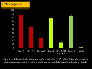 Helicoverpa zea
      100
       90
       80
       70
       60
       50
       40
       30
       20
       10
        0
             Conv 1   Cry1F 1   Cry1Ab1   Conv 2 Cry1A.105 Conv. 3    Vip3a
                                                  Cry2Ab2

Figura – Sobrevivência 48 horas após a eclosão ( IC média 95%) de larvas de
Helicoverpa zea, mantidas alimentando-se em seis híbridos de milho-Bt e não-Bt.
 