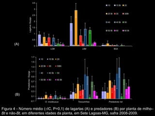 3.5
                                                                                               10       10 Bt   20
                                                    3

                                                                                               20 Bt    30      30Bt
                                                  2.5




                             Lagartas /Espiga .
                                                    2                                          40       40 Bt   50

                                                  1.5
                                                                                               50 Bt    60      60 Bt
                                                    1


                                                  0.5

       (A)                                          0
                                                                  LCM                LEM               BCA



                                                  1.7
                                                        10      10 Bt    20
                                                  1.5

                                                  1.3   20 Bt   30       30Bt
               Predadores / Espiga .




                                                  1.1
                                                        40      40 Bt    50
                                                  0.9
                                                        50 Bt   60       60 Bt
                                                  0.7

                                                  0.5

                                                  0.3
       (B)                                        0.1

                                         -0.1                O. insidiousus      Tesourinhas   Predadores tot


Figura 4 - Número médio ( IC, P=0,1) de lagartas (A) e predadores (B) por planta de milho–
Bt e não-Bt, em diferentes idades da planta, em Sete Lagoas-MG, safra 2008-2009.
 