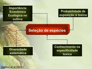 Importância
       Econômica                        Probabilidade de
      Ecológica no                     exposição à toxina
         cultivo


                        Seleção de espécies



                                     Conhecimento na
       Diversidade                    especificidade
       sistemática                        toxica



(Dutton, et al 2003 )
 
