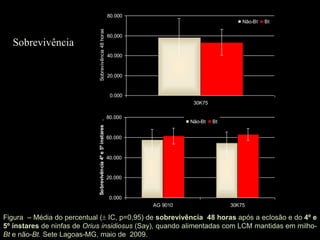 80.000
                                                                                                    Não-Bt   Bt




                             Sobrevivência 48 horas
                                                               60.000
  Sobrevivência
                                                               40.000



                                                               20.000


                                                                0.000
                                                                                   30K75

                                                               80.000
                            Sobrevivência 4º e 5º ínstares .


                                                                                  Não-Bt   Bt


                                                               60.000



                                                               40.000


                                                               20.000


                                                                0.000
                                                                        AG 9010                 30K75

Figura – Média do percentual ( IC, p=0,95) de sobrevivência 48 horas após a eclosão e do 4º e
5º ínstares de ninfas de Orius insidiosus (Say), quando alimentadas com LCM mantidas em milho-
Bt e não-Bt. Sete Lagoas-MG, maio de 2009.
 