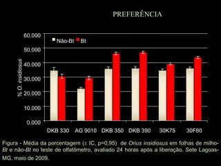 PREFERÊNCIA

                        60.000
                                    Não-Bt    Bt
                        50.000
      % O. insidiosus




                        40.000

                        30.000

                        20.000

                        10.000

                         0.000
                                 DKB 330     AG 9010 DKB 350 DKB 390   30K75   30F80

Figura - Média da porcentagem ( IC, p=0,95) de Orius insidiosus em folhas de milho-
Bt e não-Bt no teste de olfatômetro, avaliado 24 horas após a liberação. Sete Lagoas-
MG, maio de 2009.
 