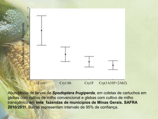 7


                                     6

       Abundância de S. frugiperda
                                     5


                                     4


                                     3


                                     2


                                     1


                                     0


                                     -1
                                          Conv   Cry1Ab   Cry1F   Cry(1A105+2Ab2)

Abundância de larvas de Spodoptera frugiperda, em coletas de cartuchos em
glebas com cultivo de milho convencional e glebas com cultivo de milho
transgênico em sete fazendas de municípios de Minas Gerais. SAFRA
2010/2011. Barras representam intervalo de 95% de confiança.
 