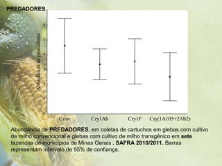 PREDADORES
         7



                                     6



          Abundância de predadores   5



                                     4



                                     3



                                     2



                                     1



                                     0
                                         Conv   Cry1Ab   Cry1F   Cry(1A105+2Ab2)

 Abundância de PREDADORES, em coletas de cartuchos em glebas com cultivo
 de milho convencional e glebas com cultivo de milho transgênico em sete
 fazendas de municípios de Minas Gerais . SAFRA 2010/2011. Barras
 representam intervalo de 95% de confiança.
 
