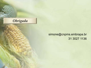 Obrigada


           simone@cnpms.embrapa.br
                      31 3027 1136
 