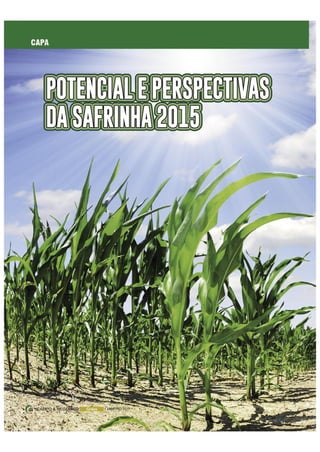 Potencial e Perspectivas da Safrinha 2015