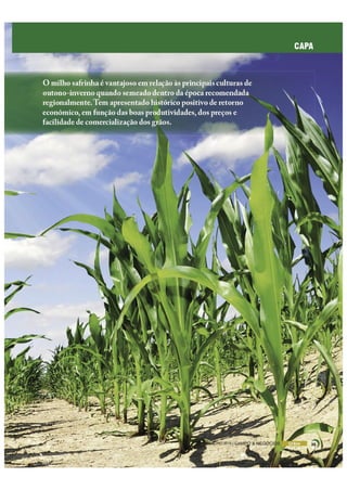 Potencial e Perspectivas da Safrinha 2015