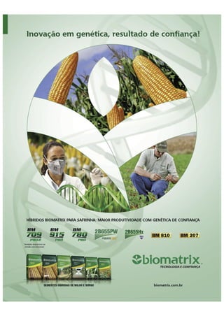 Potencial e Perspectivas da Safrinha 2015
