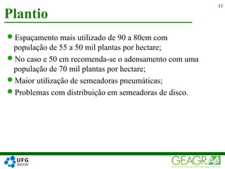 Espaçamento mais utilizado de 90 a 80cm com
população de 55 a 50 mil plantas por hectare;
No caso e 50 cm recomenda-se o adensamento com uma
população de 70 mil plantas por hectare;
Maior utilização de semeadoras pneumáticas;
Problemas com distribuição em semeadoras de disco.
Plantio
13
 