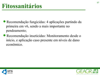 Recomendação fungicidas: 4 aplicações partindo da
primeira em v6, sendo a mais importante no
pendoamento;
Recomendação inseticidas: Monitoramento desde o
início, e aplicação caso presente em níveis de dano
econômico.
Fitossanitários
17
 