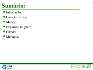 Introdução;
Características;
Manejo;
Expansão do grão;
Custos;
Mercado.
Sumário:
2
 