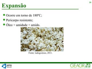 Ocorre em torno de 180ºC;
Pericarpo resistente;
Óleo + umidade + amido.
Fonte: tudogostoso, 2011.
Expansão
20
 