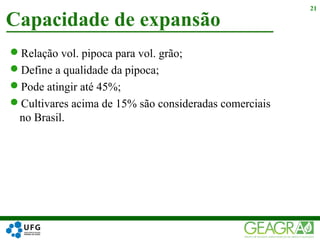 Relação vol. pipoca para vol. grão;
Define a qualidade da pipoca;
Pode atingir até 45%;
Cultivares acima de 15% são consideradas comerciais
no Brasil.
21
Capacidade de expansão
 