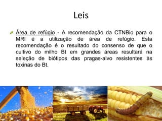 Leis
Área de refúgio - A recomendação da CTNBio para o
MRI é a utilização de área de refúgio. Esta
recomendação é o resultado do consenso de que o
cultivo do milho Bt em grandes áreas resultará na
seleção de biótipos das pragas-alvo resistentes às
toxinas do Bt.
 