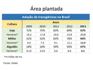 Área plantada
 