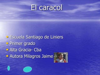 El caracol 
• Escuela Santiago de Liniers 
• Primer grado 
• Alta Gracia- Cba 
• Autora Milagros Jaime 
 
