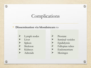 Complications
• Dissemination via bloodstream to
 Prostate
 Seminal vesicles
 Epididymis
 Fallopian tubes
 Endometrium
 Meninges
 Lymph nodes
 Liver
 Spleen
 Skeleton
 Kidneys
 Adrenals
 