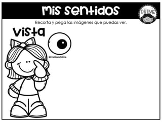 Mi Libro de los 5 Sentidos recopilado por Materiales Educativos ...