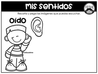 Mi Libro de los 5 Sentidos recopilado por Materiales Educativos ...