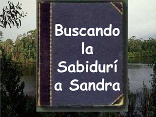 Buscando la  Sabiduría Sandra 