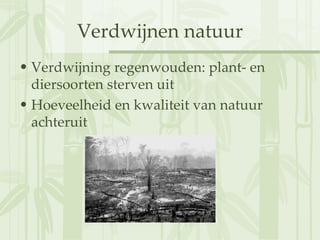 Verdwijnen natuur Verdwijning regenwouden: plant- en diersoorten sterven uit Hoeveelheid en kwaliteit van natuur achteruit 