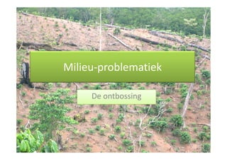 Milieu-problematiek

     De ontbossing