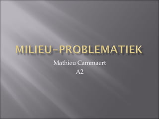 Mathieu Cammaert A2 