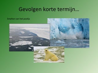 Gevolgen korte termijn… Smelten van het poolijs 