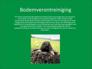 Bodemverontreiniging De meest voorkomende bodemvervuiling wordt veroorzaakt door de industrie, het verkeer en de landbouw. De verontreinigende stoffen komen ofwel rechtstreeks op de bodem terecht ofwel worden ze met de neerslag uit de lucht aangevoerd. De bodemverontreiniging heeft op haar beurt een weerslag op de kwaliteit van het grondwater en tast de planten aan, wat dan weer gevolgen voor onze gezondheid kan hebben. De meest hevige problemen zijn de bodemverzuring, de overbemesting en de verontreiniging met zware metalen en pesticiden. 