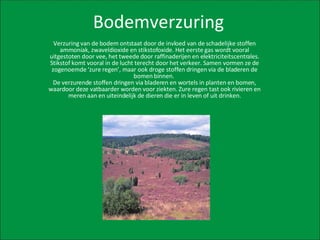 Bodemverzuring Verzuring van de bodem ontstaat door de invloed van de schadelijke stoffen ammoniak, zwaveldioxide en stikstofoxide. Het eerste gas wordt vooral uitgestoten door vee, het tweede door raffinaderijen en elektriciteitscentrales. Stikstof komt vooral in de lucht terecht door het verkeer. Samen vormen ze de zogenoemde ‘zure regen’, maar ook droge stoffen dringen via de bladeren de bomen binnen.  De verzurende stoffen dringen via bladeren en wortels in planten en bomen, waardoor deze vatbaarder worden voor ziekten. Zure regen tast ook rivieren en meren aan en uiteindelijk de dieren die er in leven of uit drinken. 