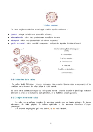 Milieu buccal-soumia | DOCX
