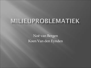 Noë van Bergen Koen Van den Eynden 