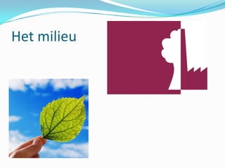 Milieuverontreiniging