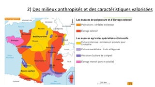 2) Des milieux anthropisés et des caractéristiques valorisées
 