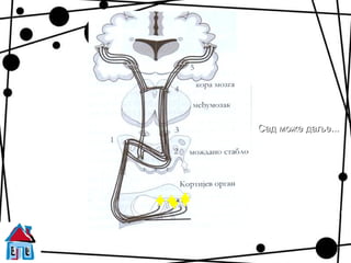 Сад може даље...




( звук долази до мозга )
 