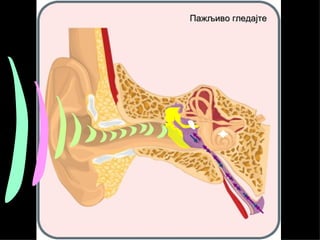 Пажљиво гледајте
 