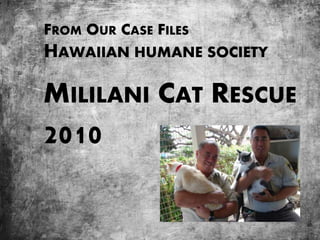 FROM OUR CASE FILES
HAWAIIAN HUMANE SOCIETY
MILILANI CAT RESCUE
2010
 
