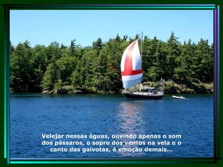 Velejar nessas águas, ouvindo apenas o som dos pássaros, o sopro dos ventos na vela e o canto das gaivotas, é emoção demais... 