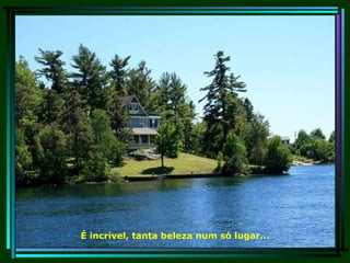 É incrível, tanta beleza num só lugar... 