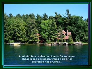 Aqui não tem ruídos da cidade. Os sons que chegam são dos passarinhos e da brisa soprando nas árvores... 