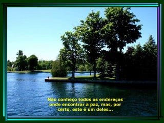 Não conheço todos os endereços onde encontrar a paz, mas, por certo, este é um deles... 