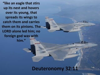 “ like an eagle that stirs up its nest and hovers over its young, that spreads its wings to catch them and carries them on its pinions. The LORD alone led him; no foreign god was with him.” Deuteronomy 32:11