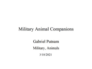Military Animal Companions